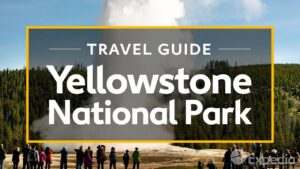 Yellowstone National Park Vacation