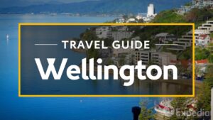 Wellington Vacation Travel Guide | FlyEveryDay