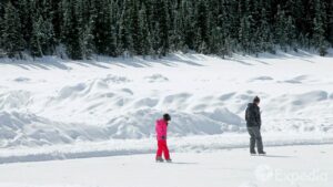 Lake Louise Vacation Travel Guide | FlyEveryDay