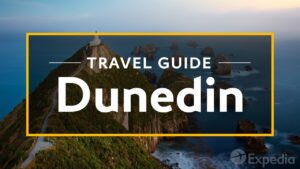 Dunedin Vacation